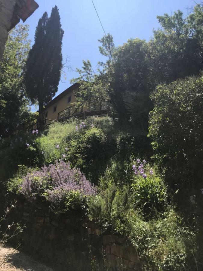 Antica Dimora Di Laura Apartment Barberino di Mugello Exterior photo